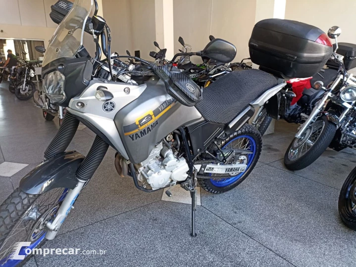 XTZ 250 TENERE/TENERE BLUEFLEX