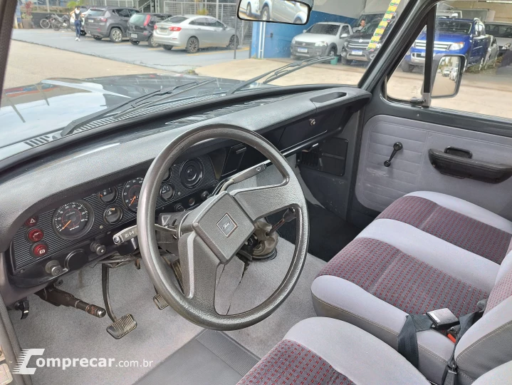 F-1000 3.9 Super CS 8V