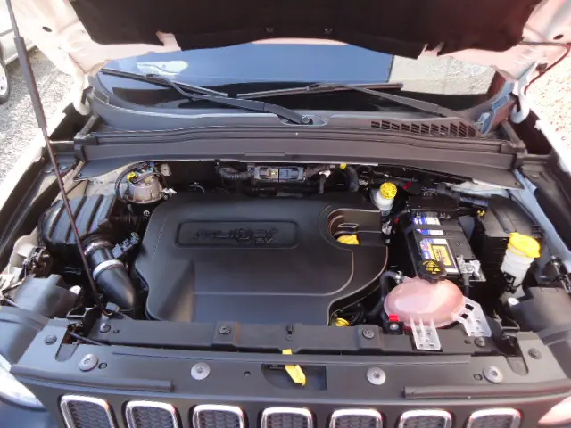 RENEGADE 2.0 16V Turbo Sport 4X4