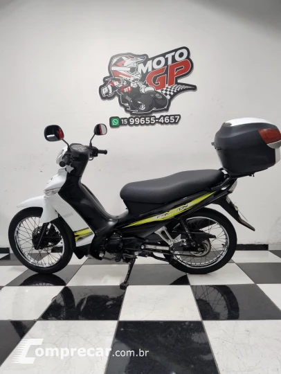 Crypton T115 ED