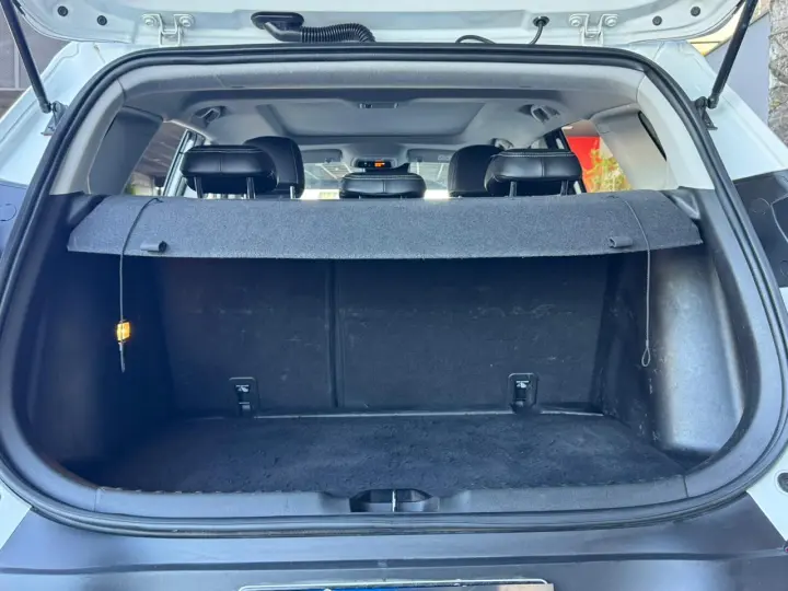 TRACKER 1.2 Turbo Premier