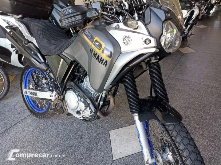 XTZ 250 TENERE/TENERE BLUEFLEX