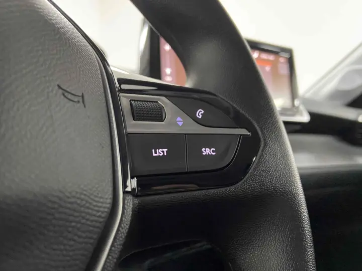 208 1.0 6V FLEX LIKE MANUAL