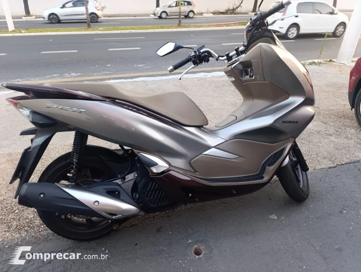 PCX  DLX