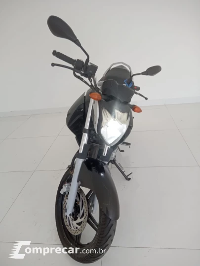 YS 250 FAZER BLUEFLEX