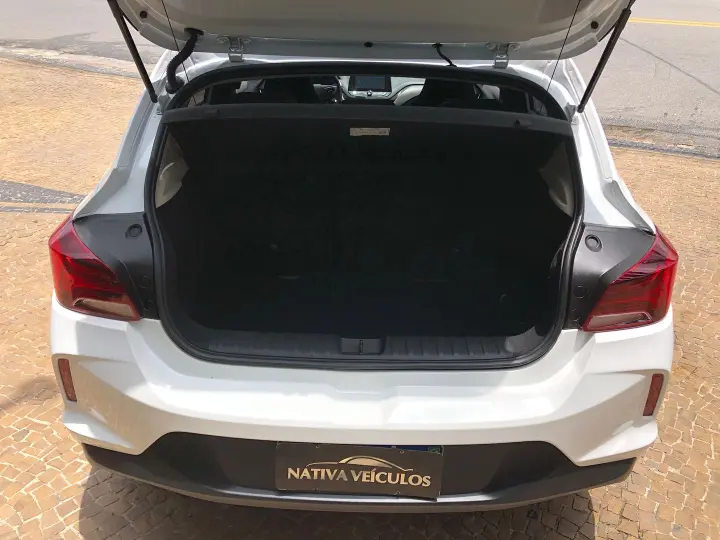 Onix 1.0 Flex Lt Manual