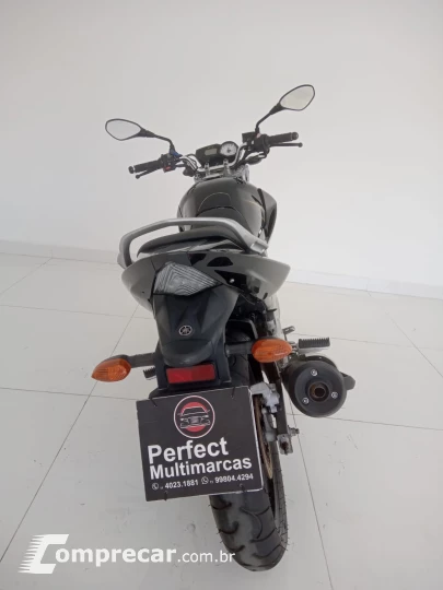 YS 250 FAZER BLUEFLEX