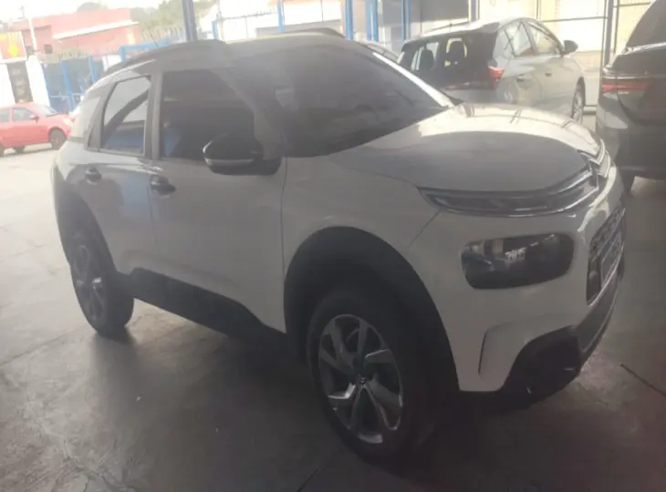 C4 Cactus automático