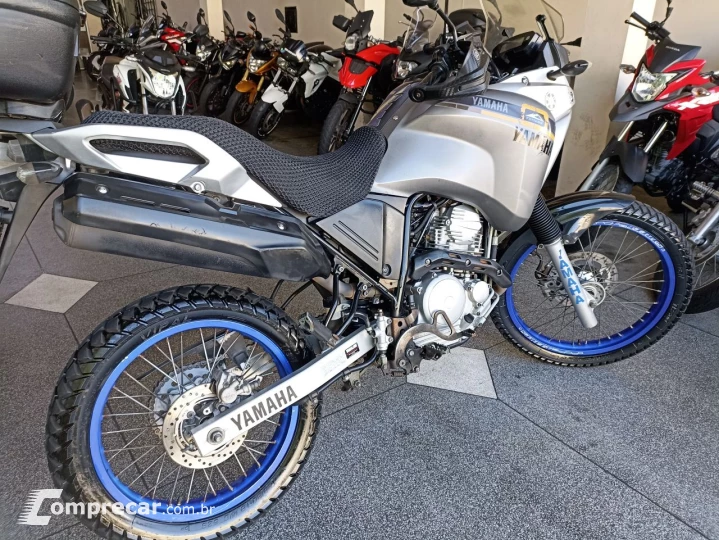 XTZ 250 TENERE/TENERE BLUEFLEX