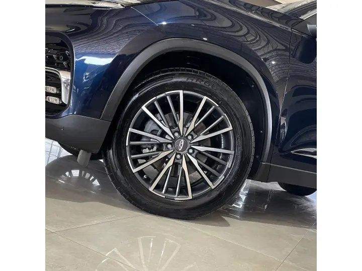 TIGGO 8 1.6 TGDI GASOLINA FOUNDER'S EDITION DCT