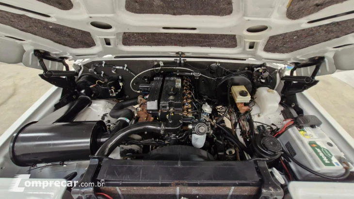 D20 4.0 Conquest CS 8V