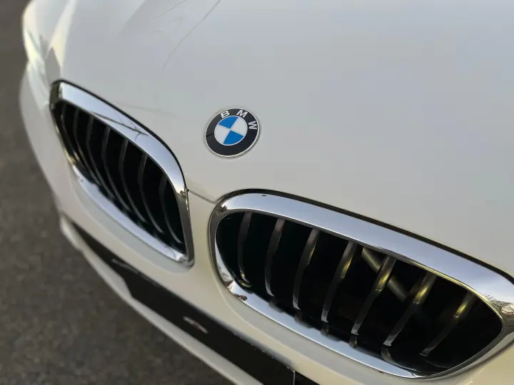 X4 2.0 16V GASOLINA XDRIVE30I M SPORT STEPTRONIC