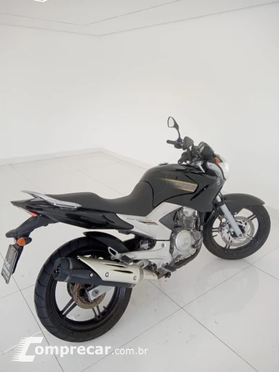 YS 250 FAZER BLUEFLEX