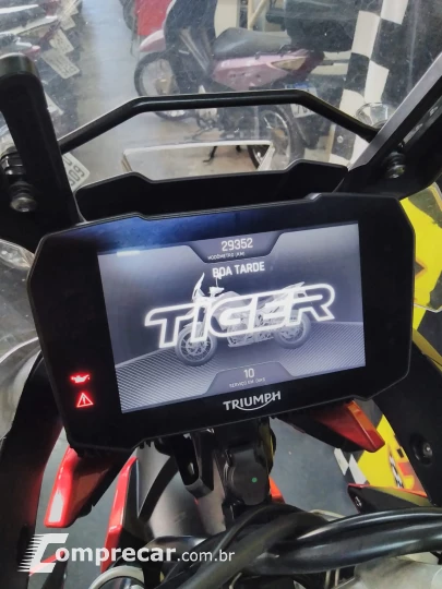 Tiger 900 gt pro