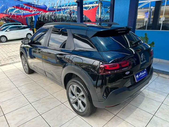 C4 CACTUS