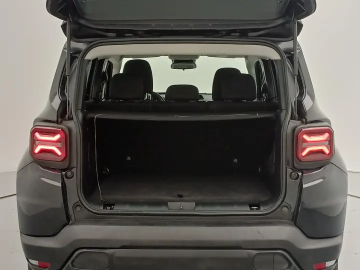 RENEGADE 1.3 T270 TURBO FLEX SPORT AT6