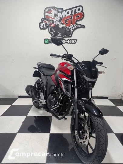 FZ25 Fazer 250