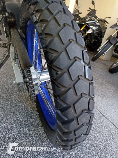 XTZ 250 TENERE/TENERE BLUEFLEX