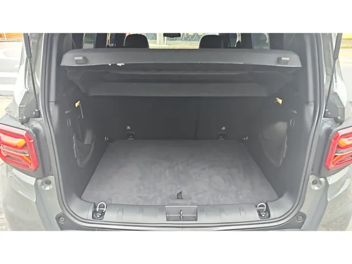 RENEGADE 1.3 T270 TURBO FLEX S 4X4 AT9