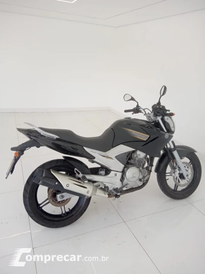 YS 250 FAZER BLUEFLEX