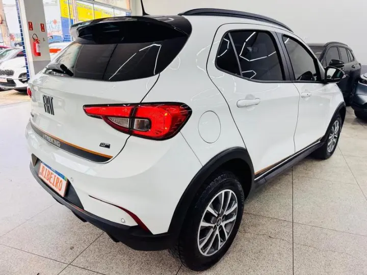 ARGO TREKKING 1.3 8V FLEX AUT