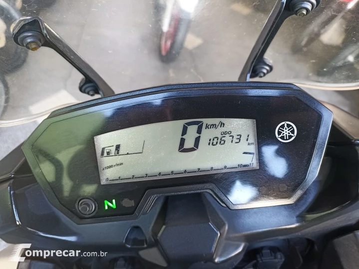 XTZ 250 TENERE/TENERE BLUEFLEX