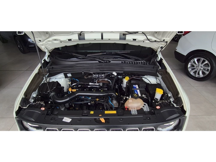 RENEGADE 1.8 16V Longitude