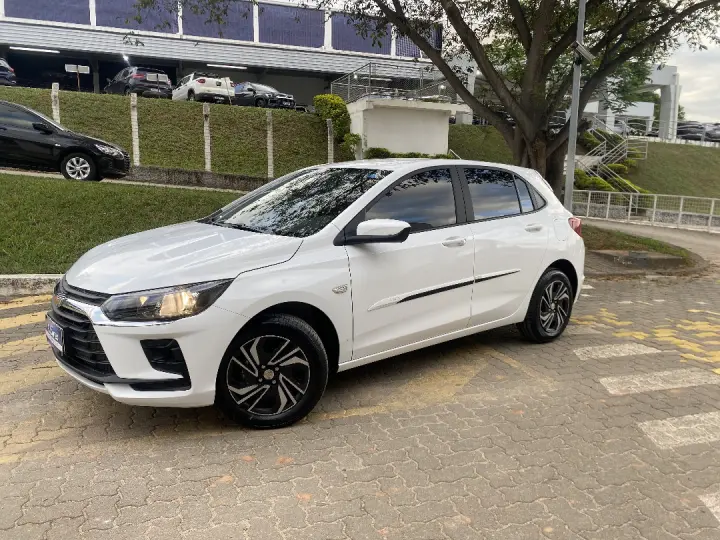 ONIX 1.0 FLEX MANUAL