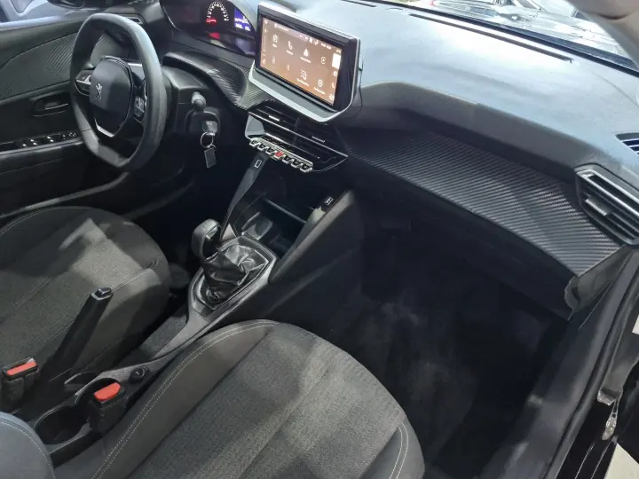 208 1.0 FIREFLY FLEX LIKE MANUAL