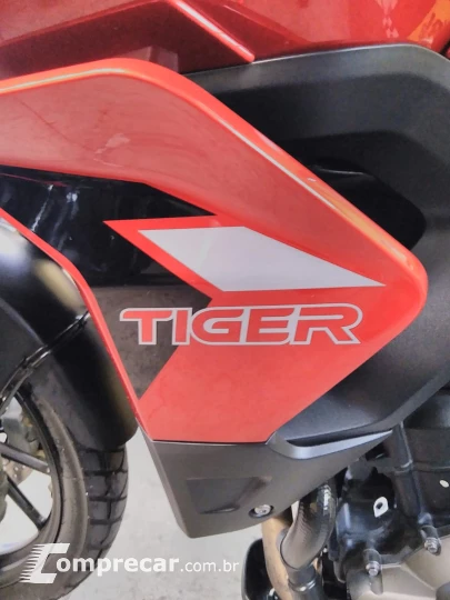 Tiger 900 gt pro