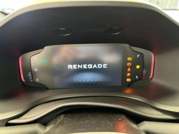RENEGADE LGTD T270