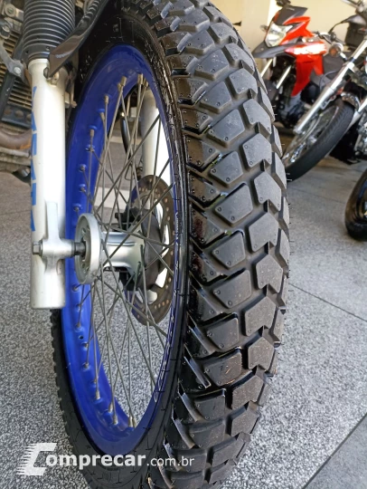 XTZ 250 TENERE/TENERE BLUEFLEX