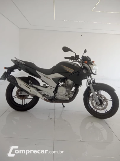 YS 250 FAZER BLUEFLEX