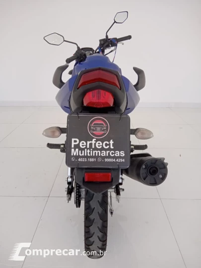YAMAHA FAZER 150 FLEX