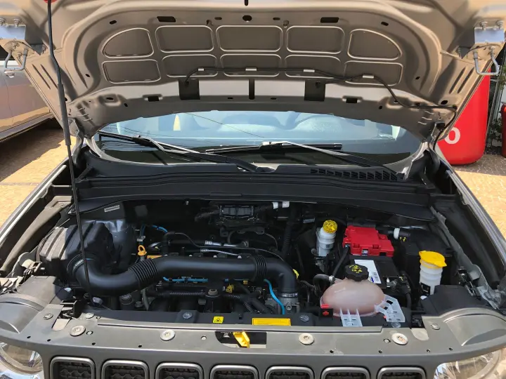 Renegade 1.8 16V Flex 4P Automático