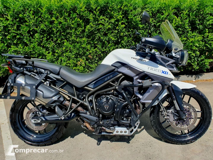 Tiger XRXL 800