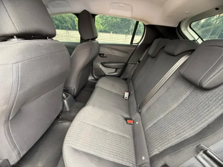 208 1.0 Firefly Like