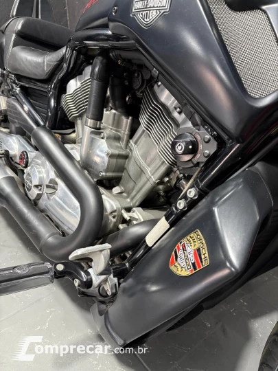 V-ROD MUSCLE 1250 VRSCF