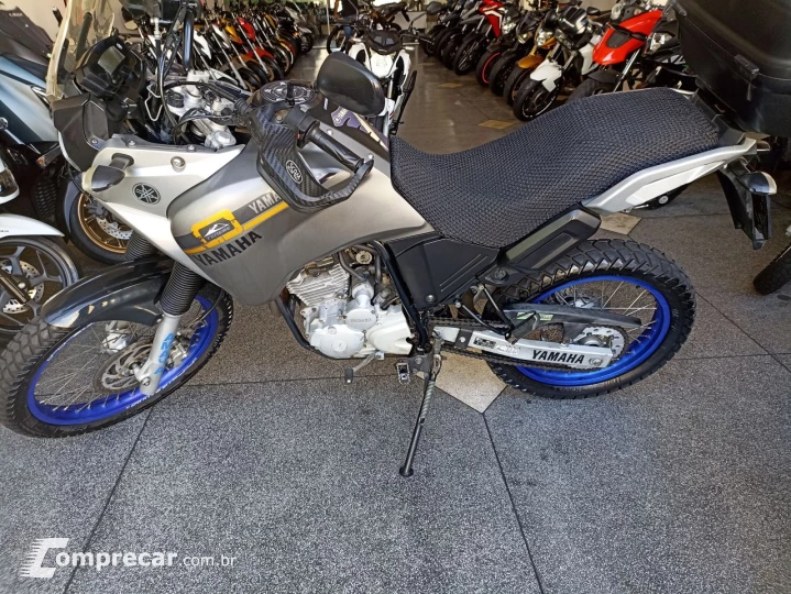 XTZ 250 TENERE/TENERE BLUEFLEX