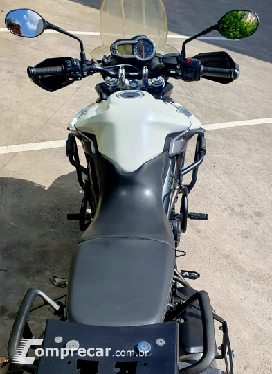 Tiger XRXL 800