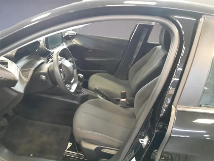 208 1.0 FIREFLY FLEX LIKE MANUAL