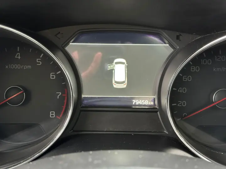 CARNIVAL 3.3 EX V6 24V