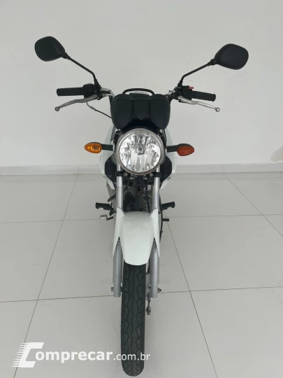 YBR 125 FACTOR