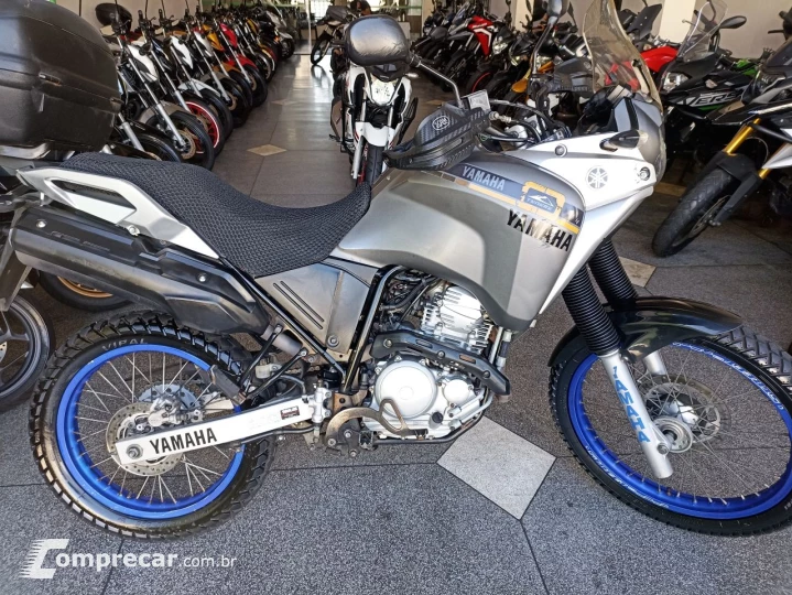 XTZ 250 TENERE/TENERE BLUEFLEX