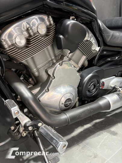 V-ROD MUSCLE 1250 VRSCF