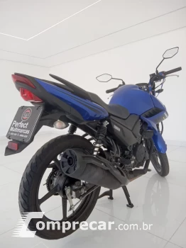 YAMAHA FAZER 150 FLEX