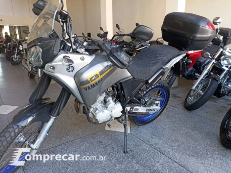 XTZ 250 TENERE/TENERE BLUEFLEX