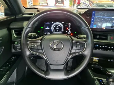 UX250H LUXURY