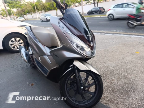 PCX  DLX