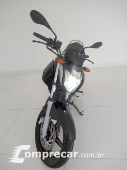 YS 250 FAZER BLUEFLEX